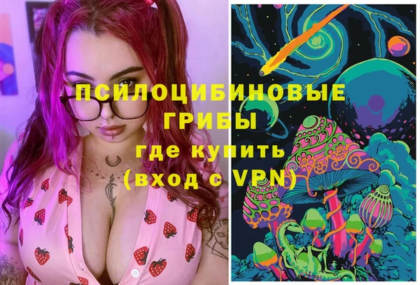 круглые Алзамай
